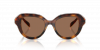 OKULARY SWAROVSKI SK 6037 100273 50 ROZMIAR S